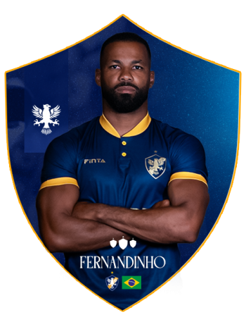 FERNANDINHO